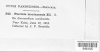 Puccinia montanensis image